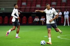 蓝狐的年轻 蓝狐的年轻